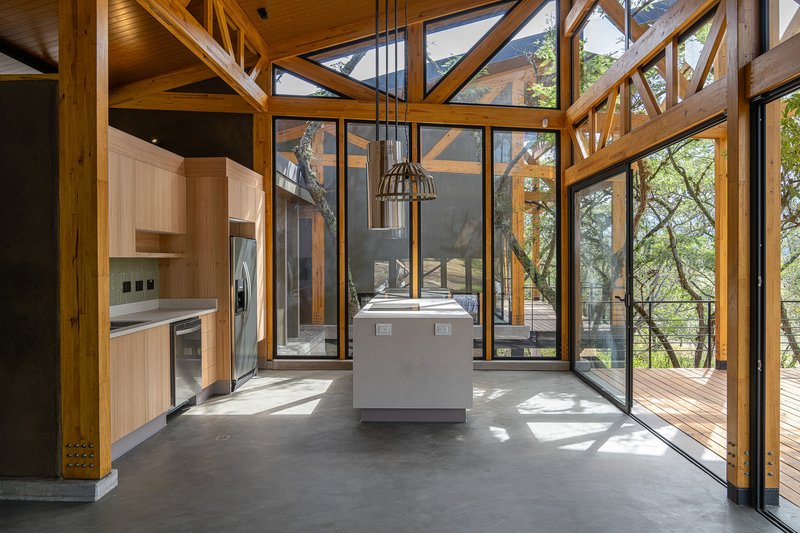 Kitchen and dining area with concrete island beneath exposed timber trusses and full-height glazing to woodland