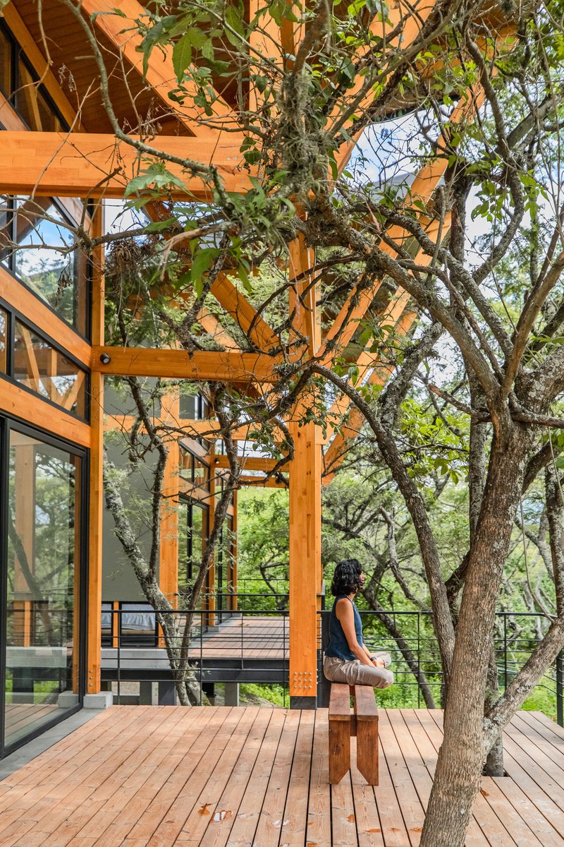 Timber frame pergola with existing trees growing through the wooden deck where a person sits