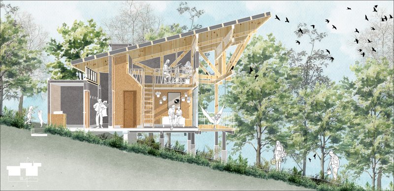 Section drawing showing exposed timber structure with people and birds among trees on a sloping site