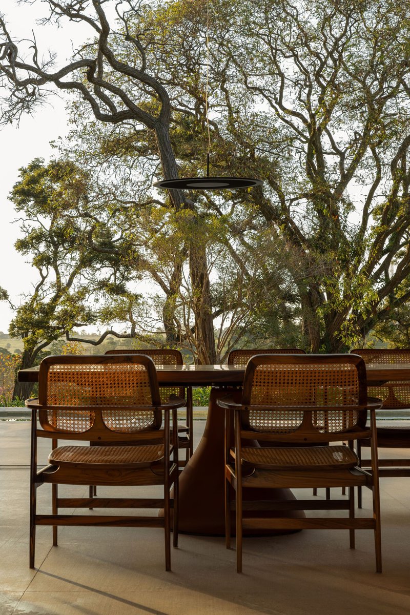 Cane-backed dining chairs around a table on a patio overlooking gnarled tree branches