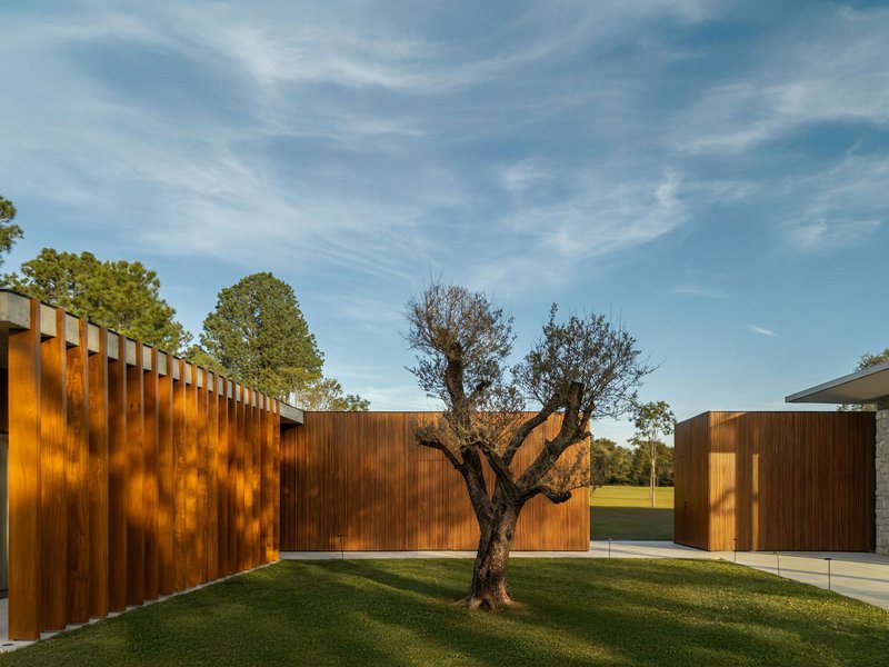 Courtyard lawn with a gnarled tree framed by vertical timber-clad screens and planted bed
