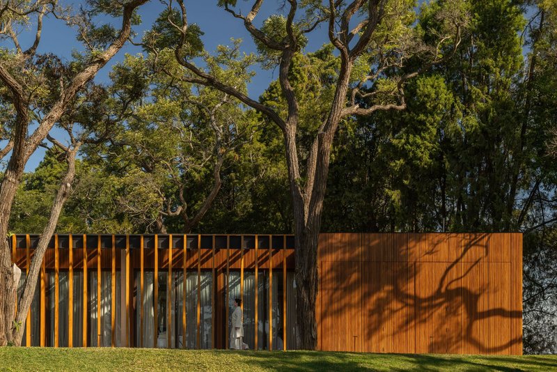 Timber screen wall with vertical slats and solid panels beneath trees casting dappled shadows