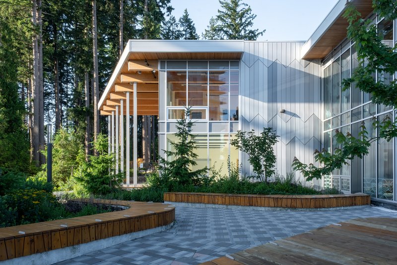 Exterior view showing the cantilevered timber soffit and planted beds with young trees at dusk