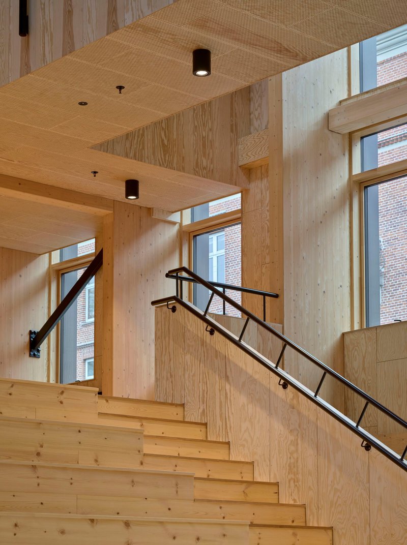 Wood-clad staircase with black metal railing bathed in afternoon sunlight from tall windows