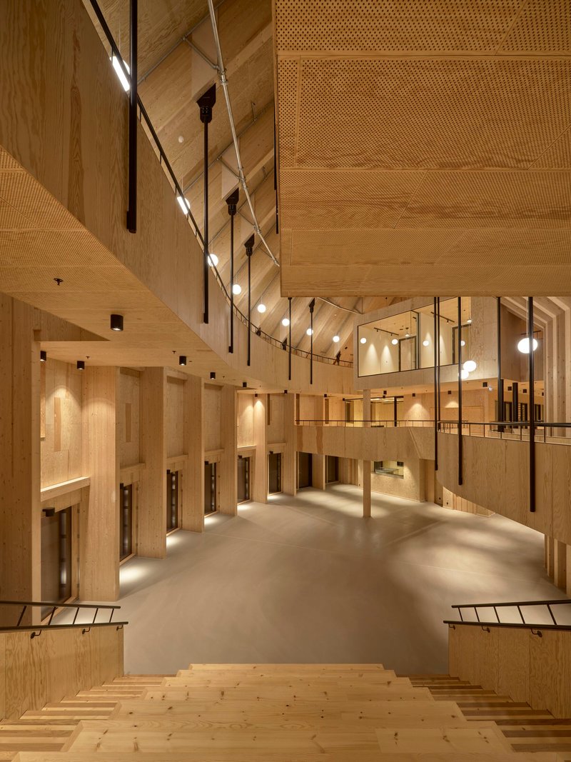 View down timber staircase into the multi-level lobby with perforated acoustic ceiling panels and evening light