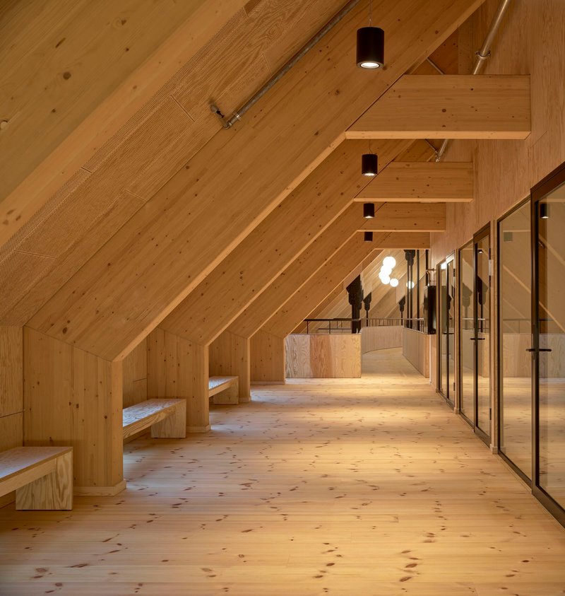 Top-floor corridor with pitched timber ceiling, built-in benches and glazed partitions under cylindrical downlights