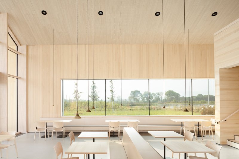 Timber-lined dining hall with hanging pendant lights and a horizontal window framing the landscape