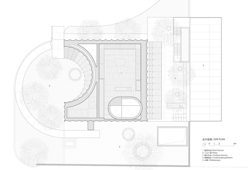 Site plan drawing showing a curved courtyard, rectangular pool, and planted terraces with trees