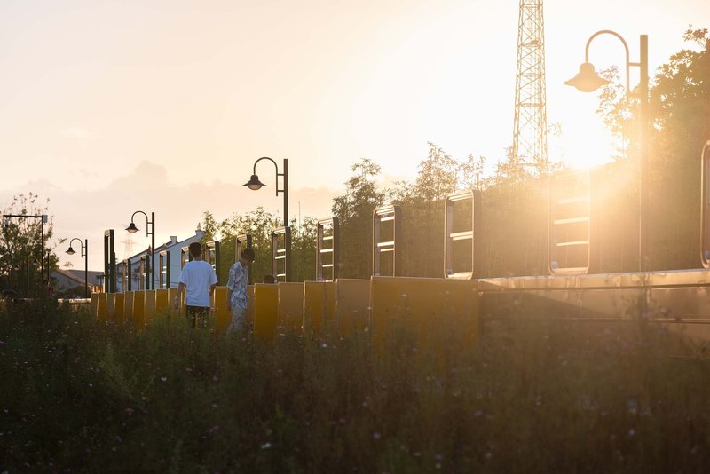 Two people standing in wildflower meadow beside yellow and green barriers with staggered viewing panels at sunset