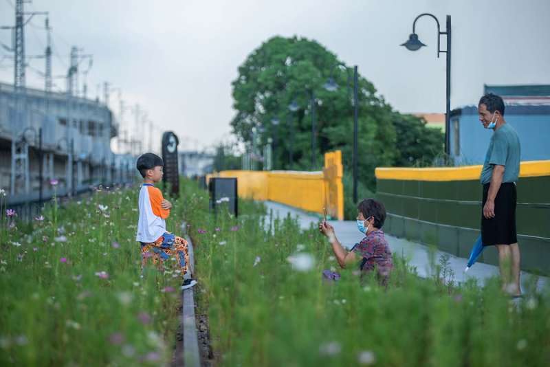 Children and adult among flowering grasses beside yellow and green barrier with horizontal slot windows and lamppost