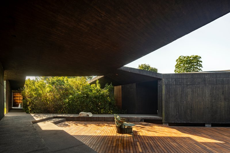 Shaded courtyard with timber decking and a triangular skylight framing vegetation above concrete walls