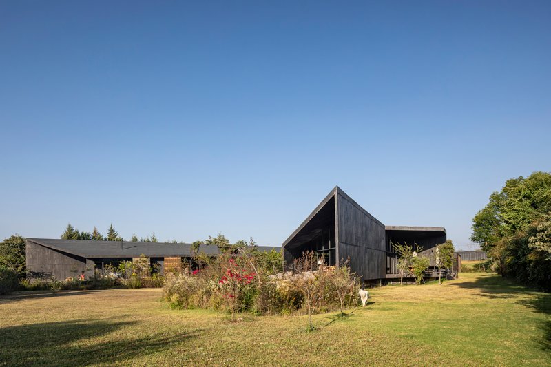 Two pitched-roof volumes clad in dark timber with planted beds in the foreground under clear sky