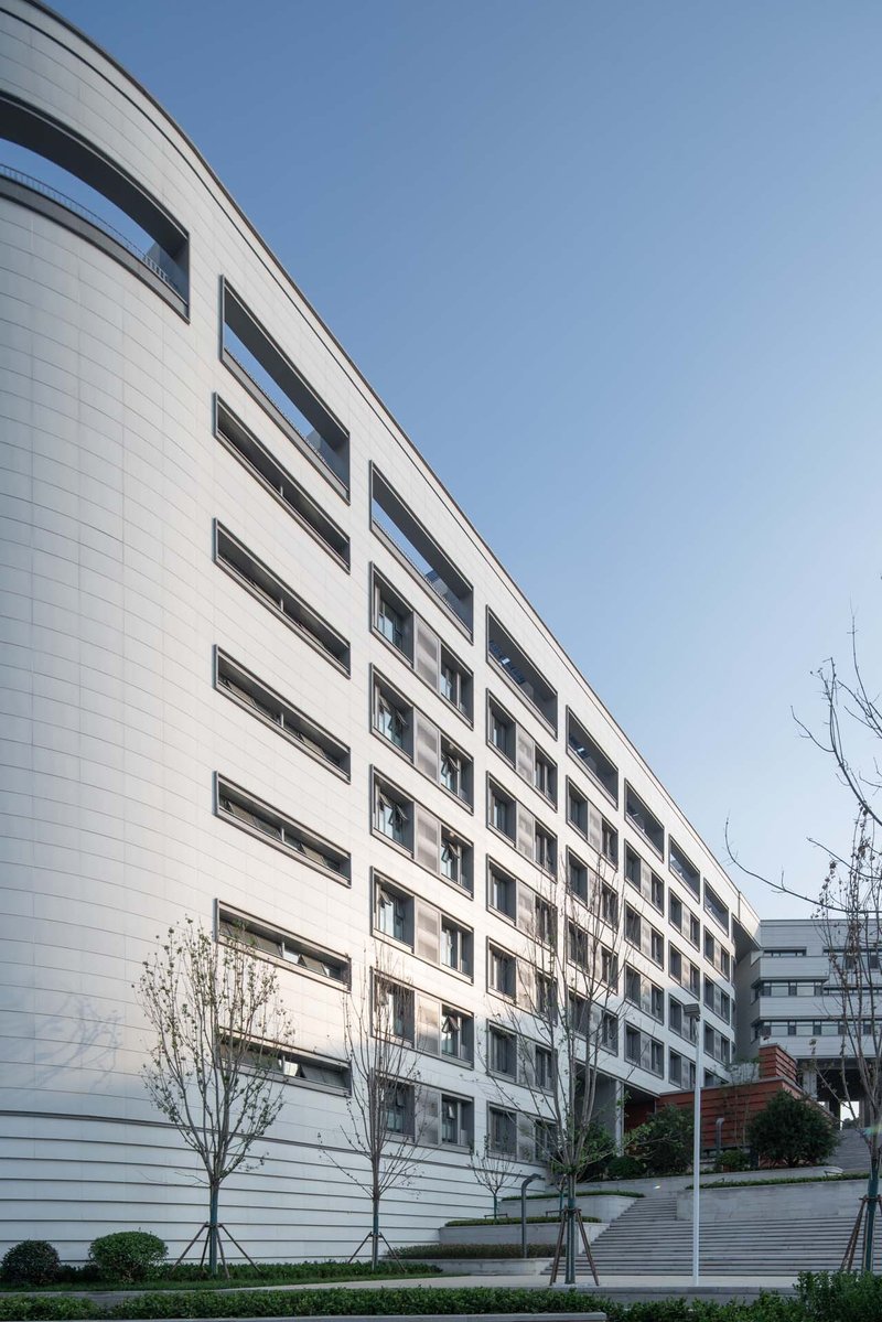 White horizontal panel facade with punched windows rising above a landscaped terrace and young trees