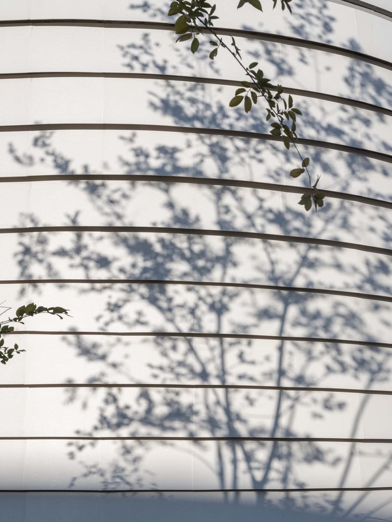 White horizontal louver facade with tree shadows and climbing vines in afternoon light