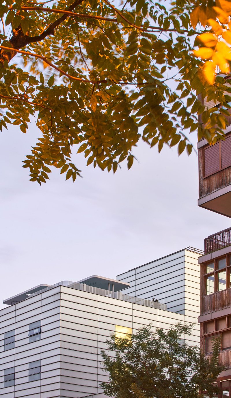 Angled view of the white louvered volume framed by golden autumn leaves overhead