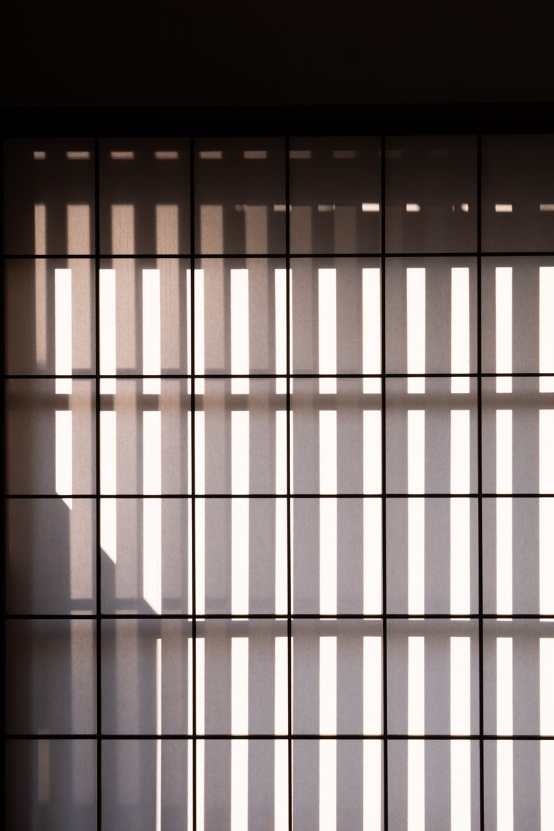 Close-up of a vertical timber slat screen with narrow horizontal framing members in filtered light