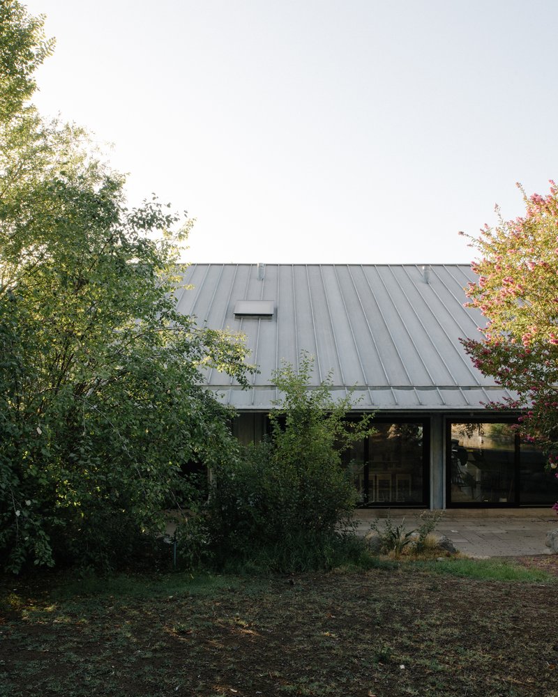 Standing seam metal roof emerging from surrounding trees in soft afternoon light