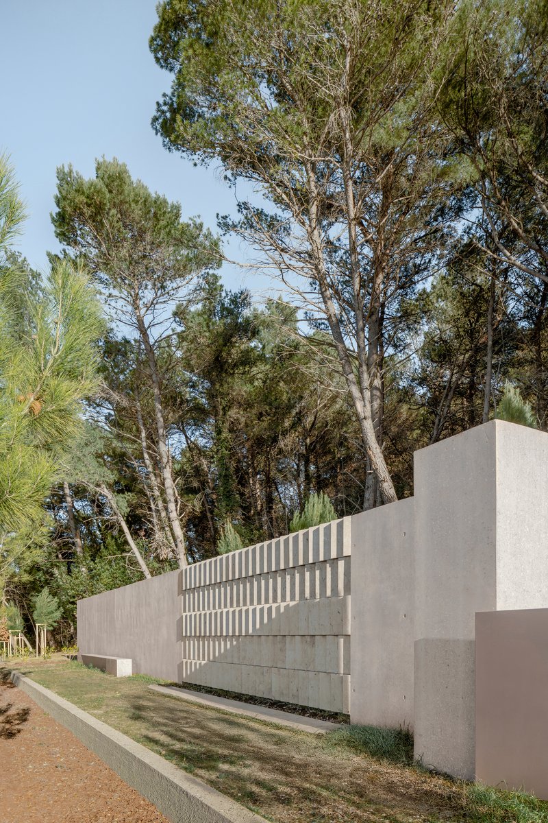 Concrete wall with vertical slot openings beneath a canopy of tall pine trees in dappled light