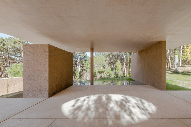 Covered terrace with cylindrical columns framing a reflecting pool and woodland beyond with dappled shadow on floor