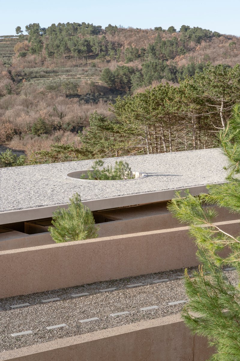 Curved gravel roof plane with a circular planting aperture set against a forested hillside