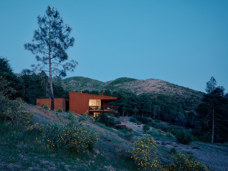 Hillside residence with corten cladding and overhanging roof at dusk with wildflowers in foreground