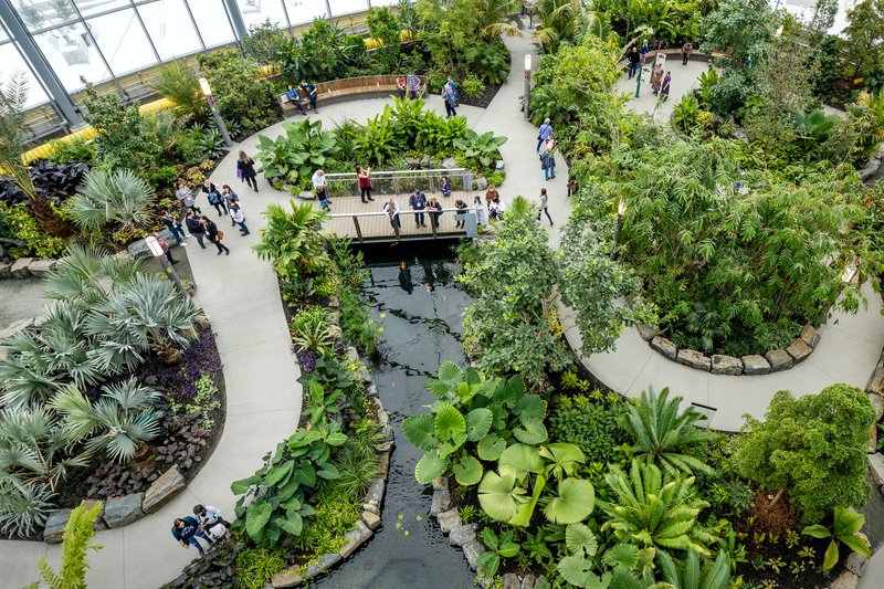Overhead view of the curving interior pathways winding through planted beds with palms and water features