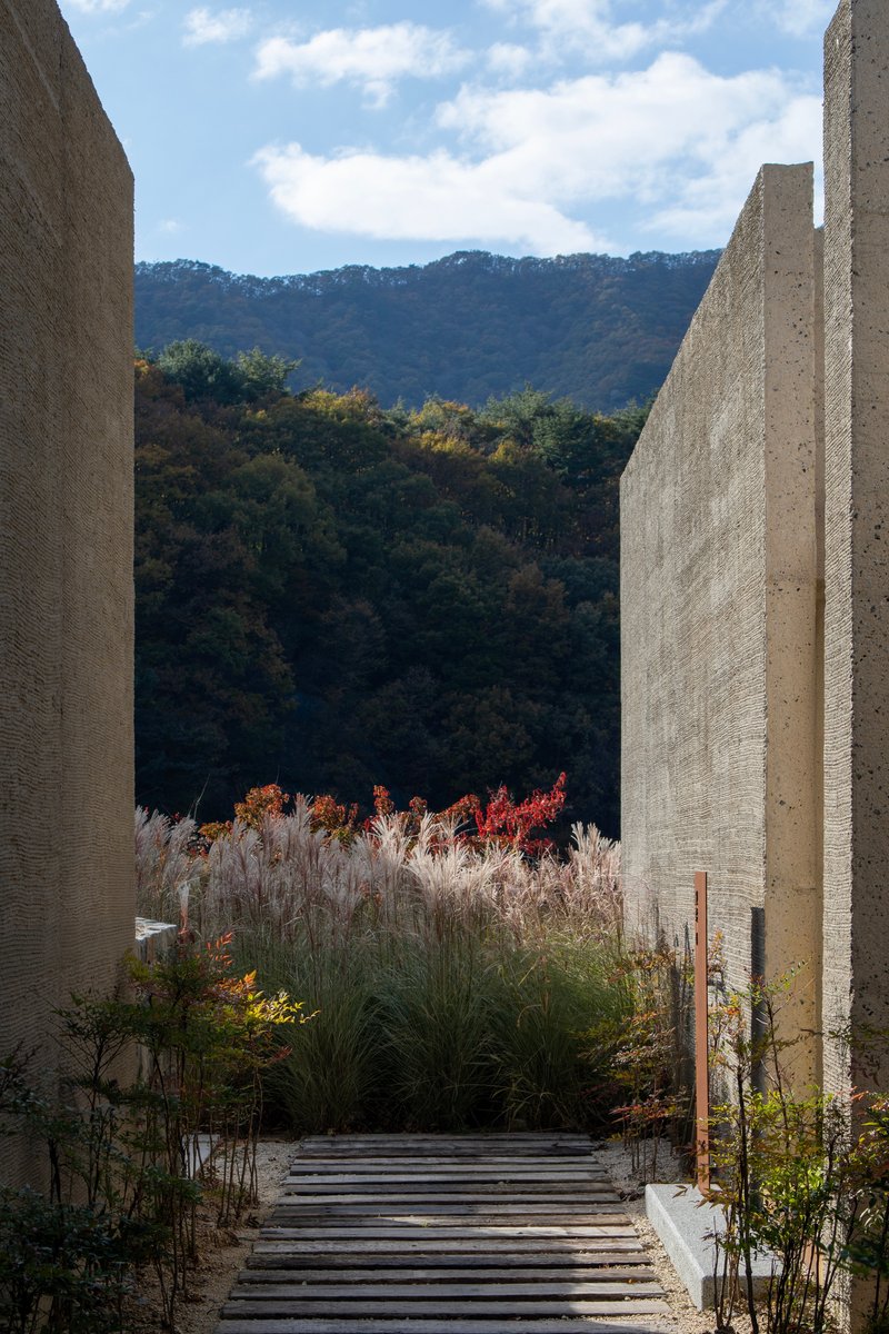 View between textured concrete walls framing a planted courtyard and the forested mountains beyond