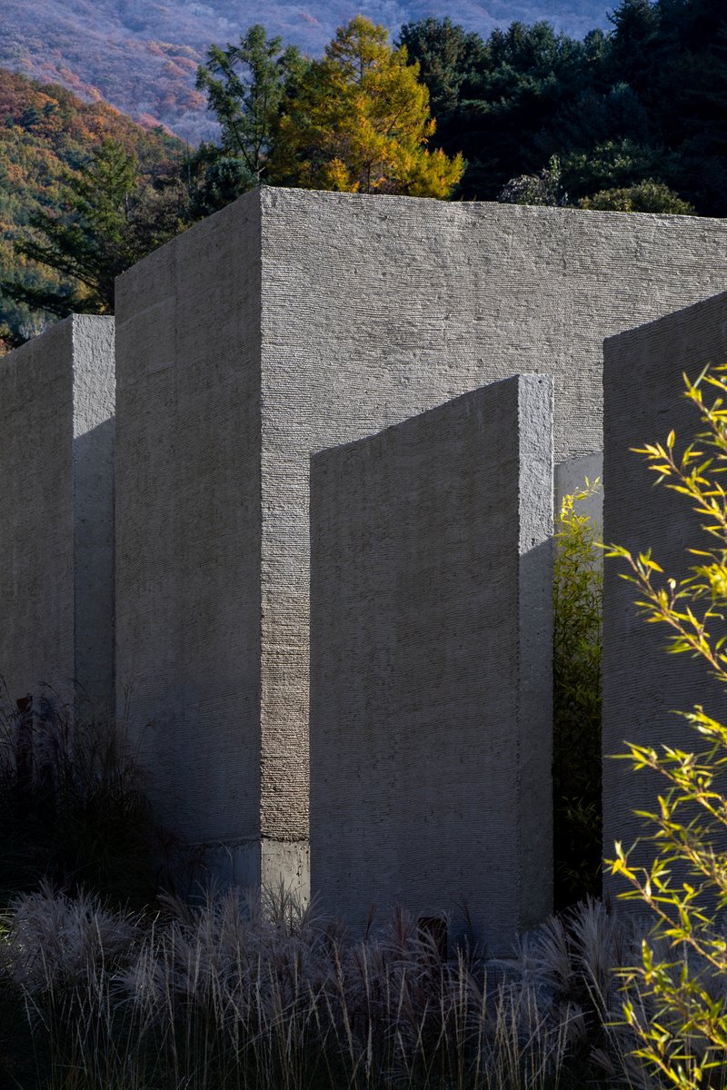 Textured concrete wall planes intersecting at angles with autumn foliage and ornamental grasses at the base