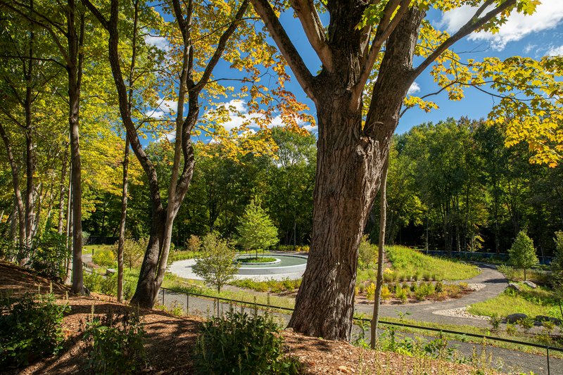 Gravel pathway through mature trees leading toward the memorial fountain in late summer