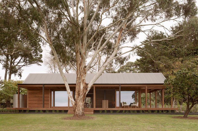 Two pavilions with corrugated metal roofs and timber cladding sit beneath a large eucalyptus tree on a lawn
