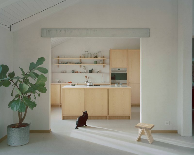 Kitchen alcove with light wood cabinetry and open shelving, a cat sitting on the threshold