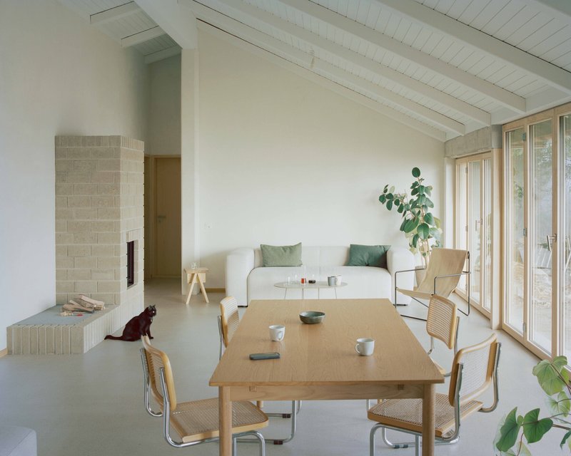 Open living and dining space with exposed timber ceiling, concrete fireplace, and dog on polished floor