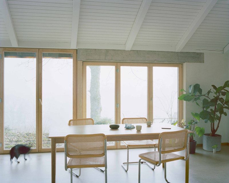 Timber-framed window wall with dining table, concrete beam, and cat crossing the floor