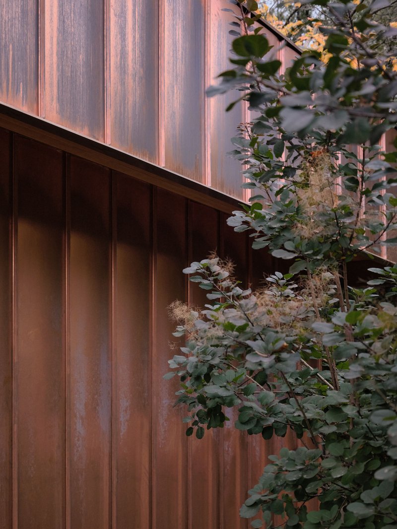 Close-up of copper wall cladding with eucalyptus foliage at dusk