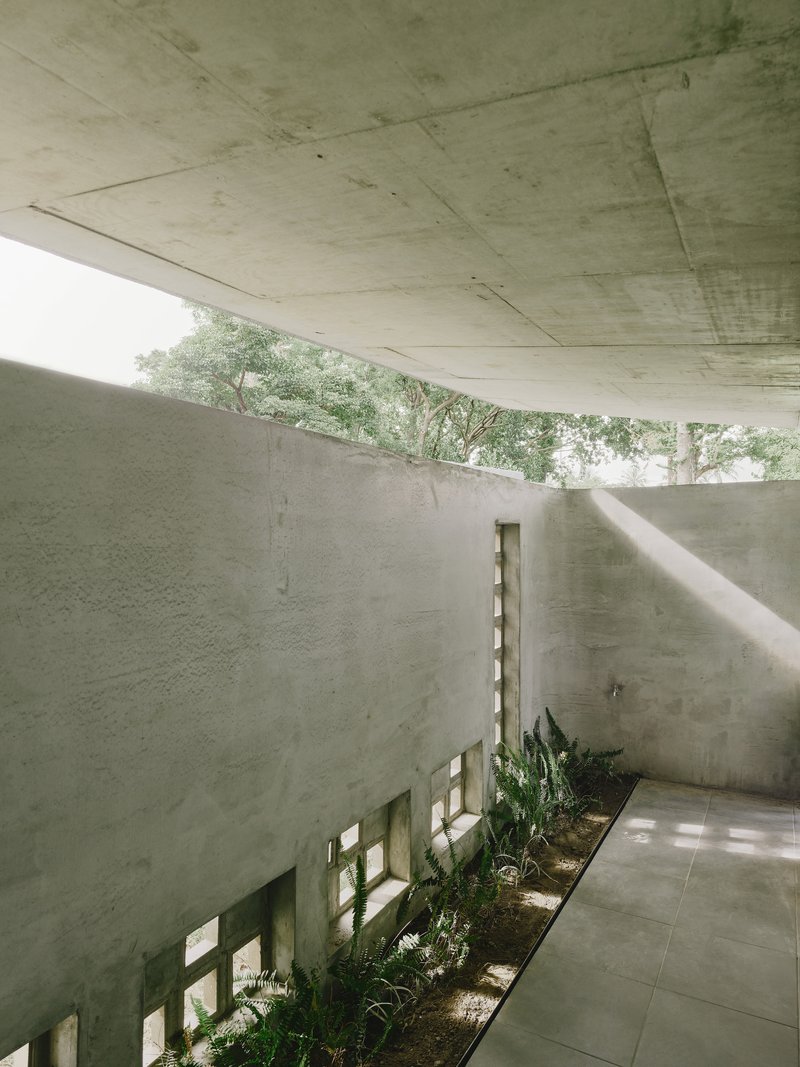 Interior courtyard with planted bed along perforated concrete wall beneath exposed ceiling slab