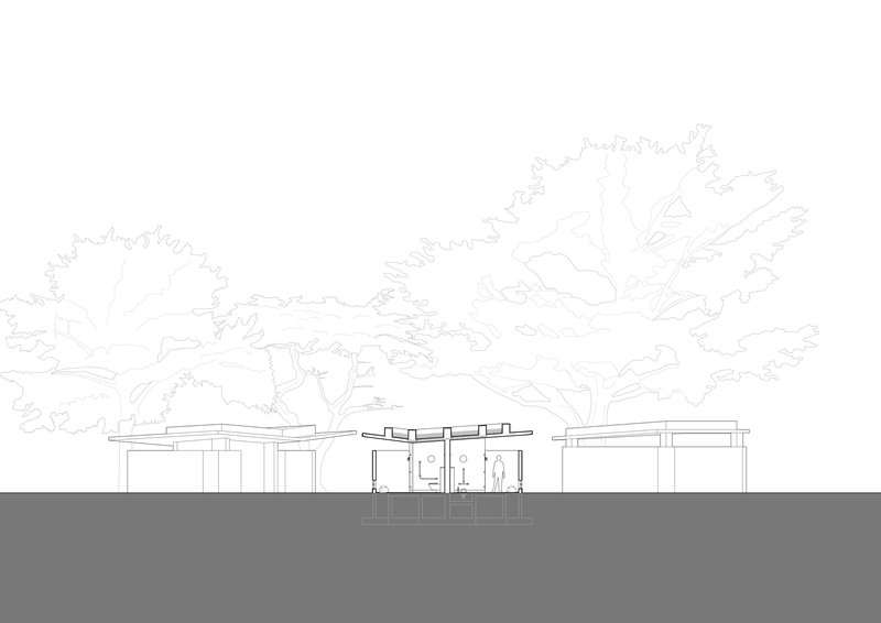Section drawing revealing three connected volumes with exposed roof structure and landscaping with mature trees