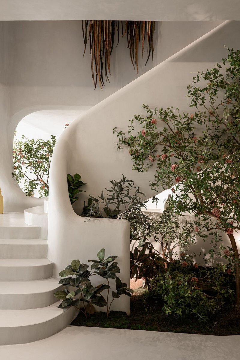 Interior staircase with rounded plaster walls rising past planted bed with flowering shrubs and hanging sculpture