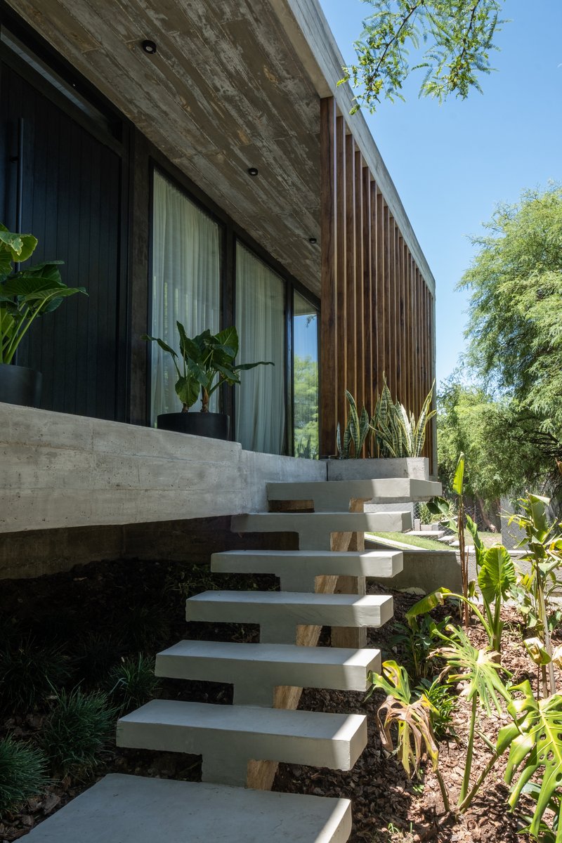 Floating concrete stair treads ascending through planted bed alongside vertical timber screen in daylight
