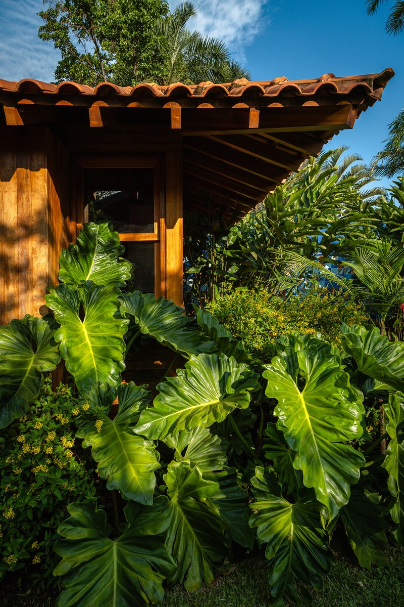 Entry portal framed by timber posts and exposed rafters with lush elephant ear plantings below