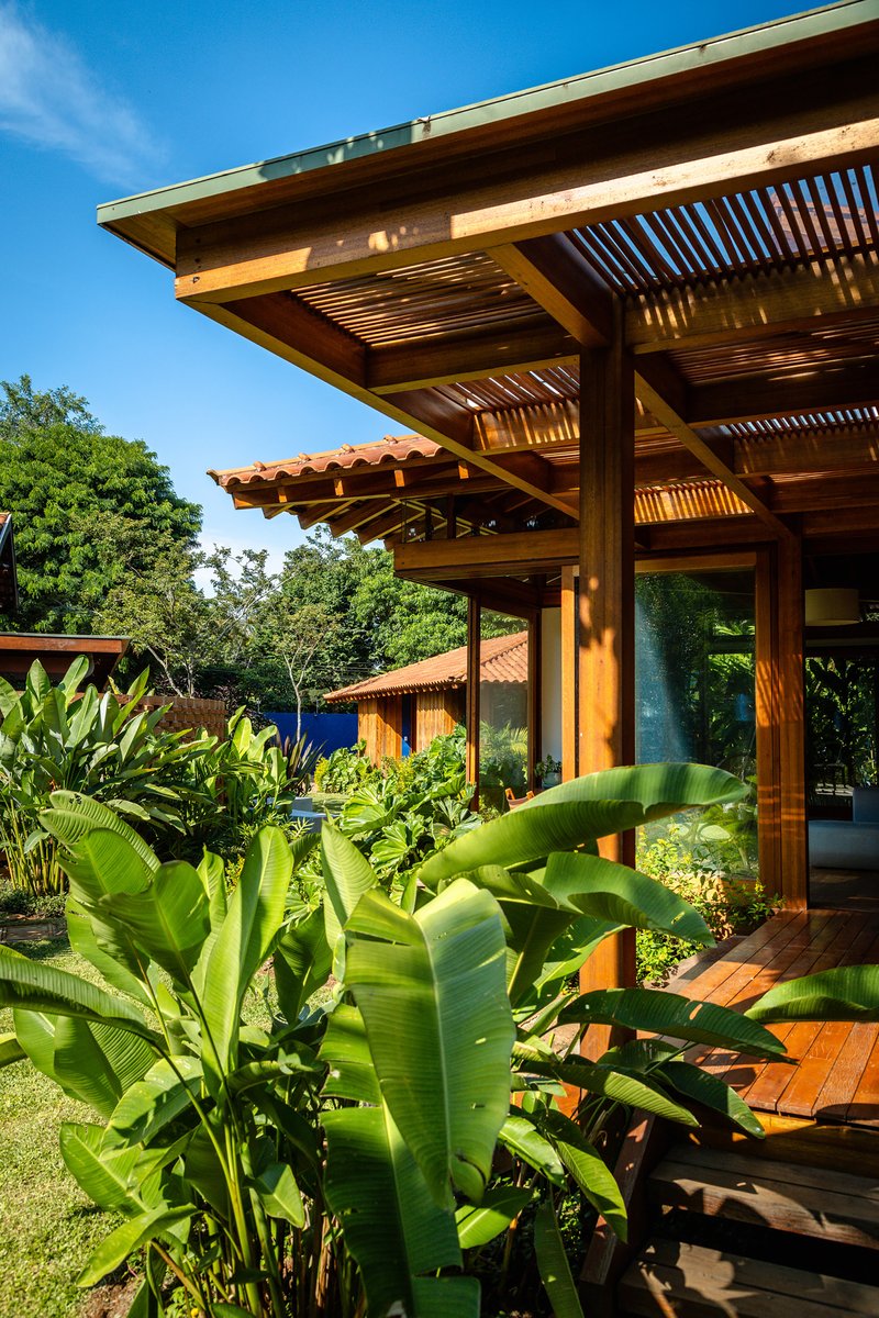 Cantilevered timber roof with exposed slatted ceiling shading glass walls and banana leaf plantings