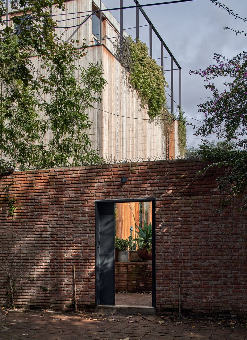 Red brick perimeter wall with doorway framing a view to timber-clad volume and climbing vines