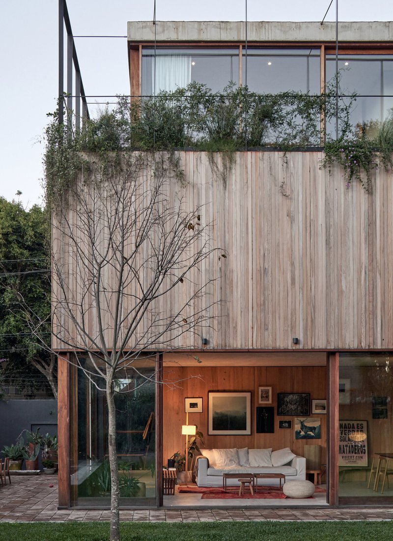 Three-story elevation showing vertical timber cladding with planted terrace and bare tree