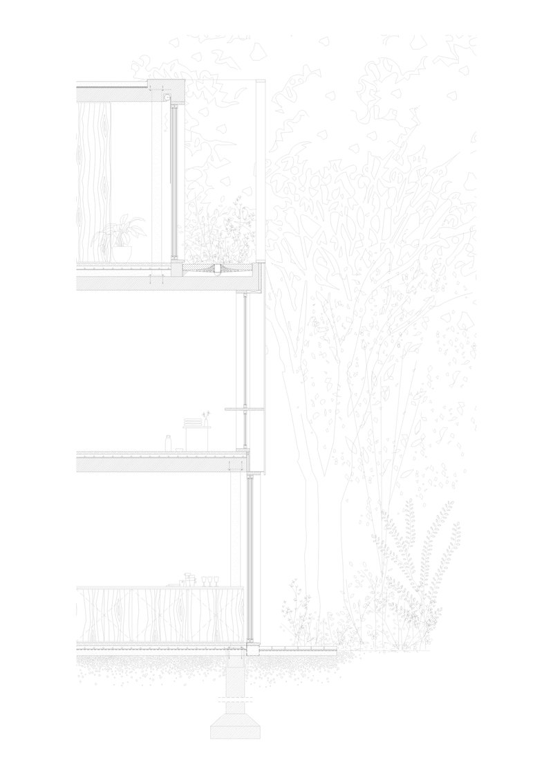 Wall section drawing detailing floor slabs, window openings and vertical green wall plantings