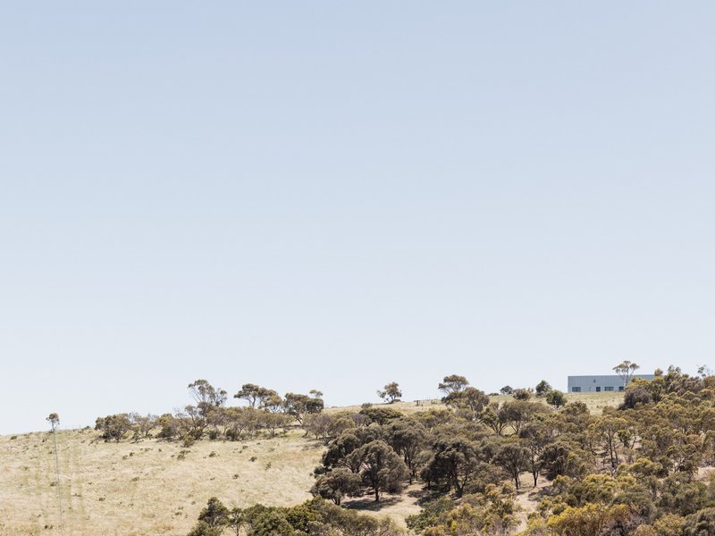 Distant view of a low structure on a dry hilltop dotted with eucalyptus trees
