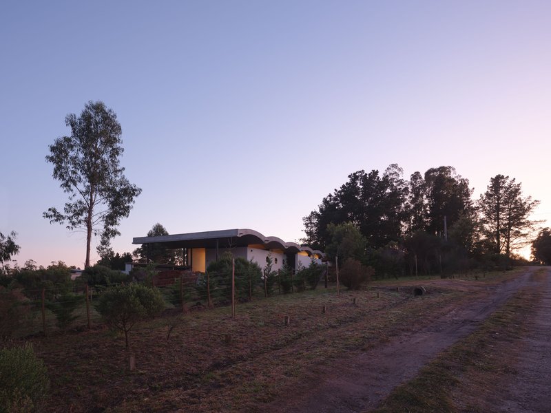 Curved roof residence on a hillside clearing photographed at dusk with illuminated interior