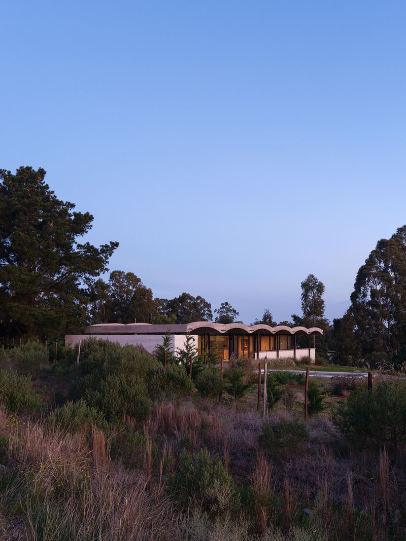 Undulating roof form nestled among native vegetation at twilight with interior lights glowing