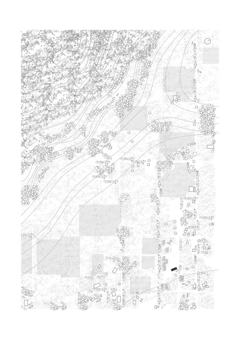 Site plan drawing showing buildings scattered among dense tree clusters and curving pathways