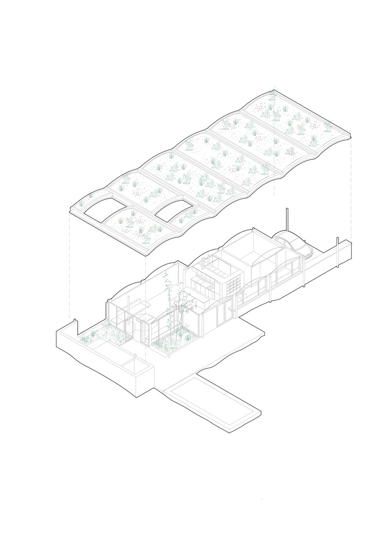 Axonometric drawing showing the undulating planted roof hovering above the interior layout