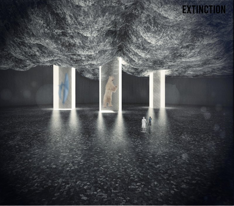 Encased memories of vanished species stand as silent witnesses to humanity’s ecological failures.