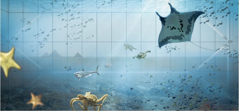 The marine layer immerses visitors in underwater life, revealing biodiversity preserved within an artificial biosphere.